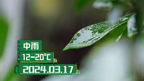線上看 後陡門58號：2024年3月17日後陡門天氣中雨 (2024) 帶字幕 中文配音，國語版