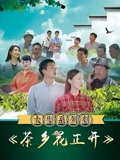 茶乡花正开}