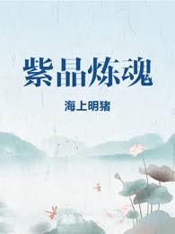 紫晶炼魂
