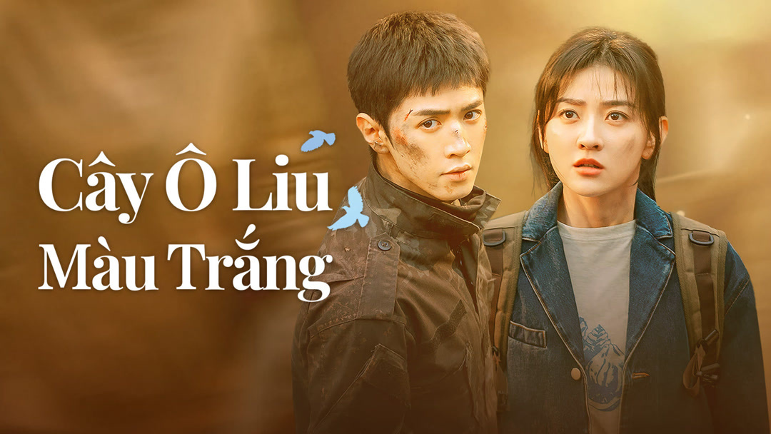 Cây Ô Liu Màu Trắng (2025) Full Vietsub – iQIYI | iQ.com