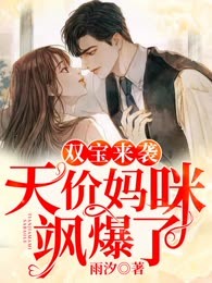 双宝来袭：天价妈咪飒爆了