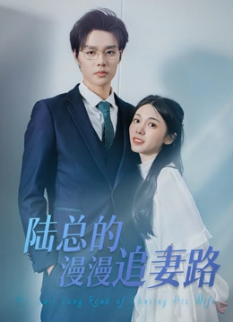 陆总的漫漫追妻路