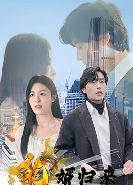 龙婿归来