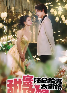 甜蜜攻略陆总前妻太傲娇