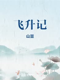 飞升记

