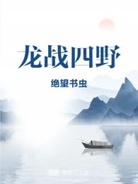 龙战四野
