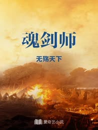 魂剑师
