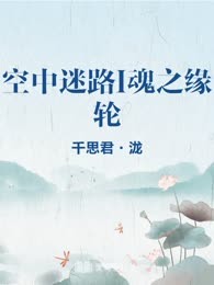 空中迷路I魂之缘轮
