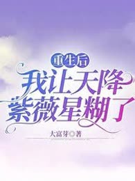 重生后我让天降紫薇星糊了