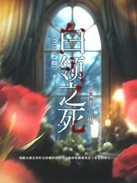白领之死