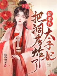 新婚夜太子妃把洞房炸了