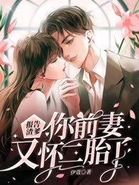 报告渣爹你前妻又怀二胎了