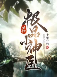 乡村极品小神医