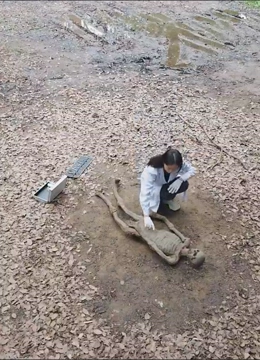 大脚医妃