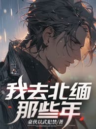 我去北缅那些年