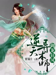 御龙狂凤：逆天异术师
