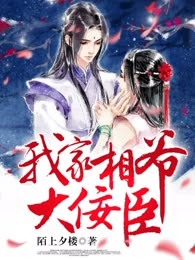 我家相爷大佞臣