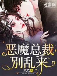 恶魔总裁，别乱来