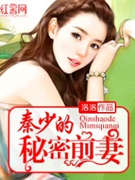 秦少的秘密前妻