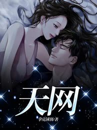 天网