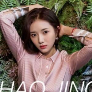 Zhao Jing
