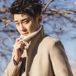 Bowei Han