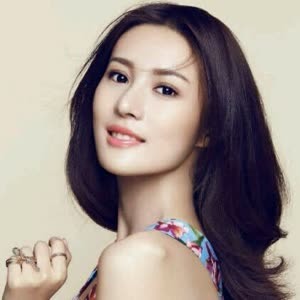 Wu Jing Jing