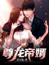 尊龙帝婿