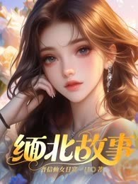 缅北故事
