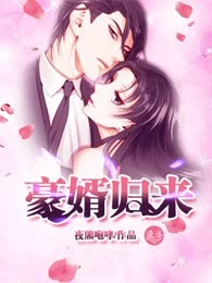 豪婿归来