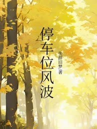 停车位风波