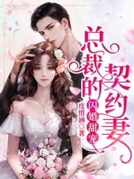 闪婚甜宠：总裁的契约妻（又名：双面总裁宠妻入骨）
