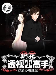 护花透视小高手