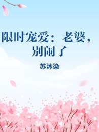 限时宠爱：老婆，别闹了
