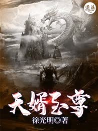 天婿至尊