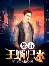都市王婿归来