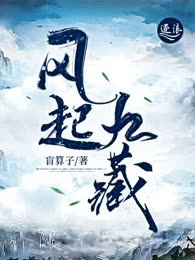 风起九藏