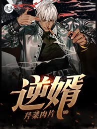 逆婿