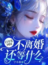 白月光回国，不离婚还等什么
