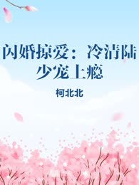 闪婚掠爱：冷清陆少宠上瘾