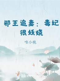 邪王追妻：毒妃很妖娆
