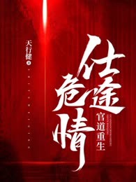 官道重生：仕途危情