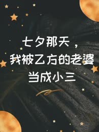 七夕那天，我被乙方的老婆当成小三