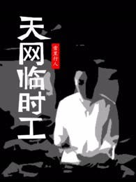 天网临时工