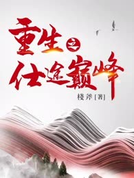 重生之仕途巅峰