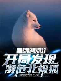 一人纪录片：开局发现濒危北极狐