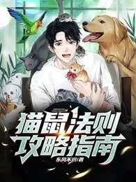 猫鼠法则攻略指南