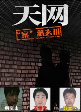 天网：“案”藏玄机