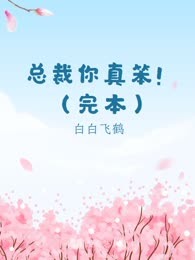 总裁你真笨！（完本）