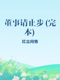 董事请止步(完本)
